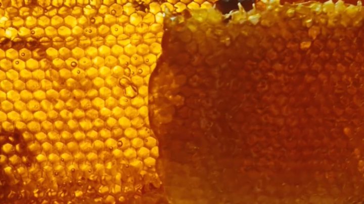 Jacquemus – “Honey” know-how